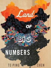 Land of Big Numbers